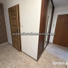 Oferta wynajmu mieszkania 45.55m 2 pokojowe Wodzisław Śląski