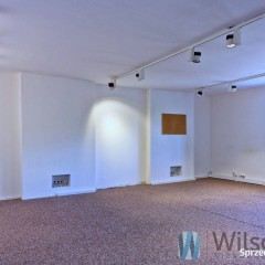 Ogłoszenie lokal Warszawa 250m2