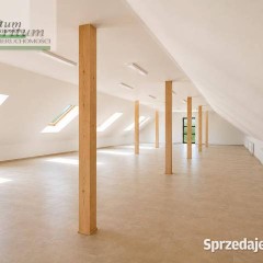 Lokal Iwonicz-Zdrój 650m2