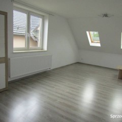 Słoneczne 4-pokojowe mieszkanie tuż przy parku, od zaraz.