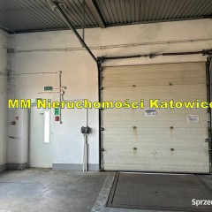 Magazyn chłodnia i mroźnia do wynajęcia śląskie Radzionków przy A1 biura s…