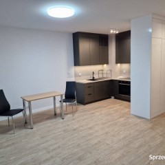 Wynajmę 1-pokojowe mieszkanie 34 m2 w Borku Fałęckim