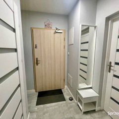 Mieszkanie wynajmę 34m2 Kielce