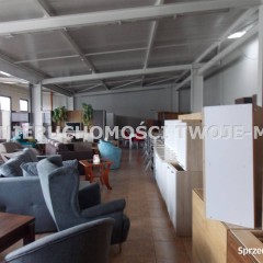 Lokal Ostrowiec Świętokrzyski 420m2