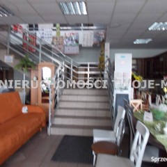 Lokal Ostrowiec Świętokrzyski 420m2