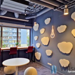 Oferta wynajmu lokalu 250m2 Warszawa