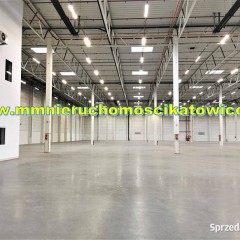 Powierzchnie magazynowe do wynajęcia 200 - 10.000 m2 Będzin - 0% PROWIZJI!