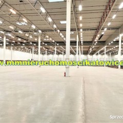 Powierzchnie magazynowe do wynajęcia 200 - 10.000 m2 Będzin - 0% PROWIZJI!
