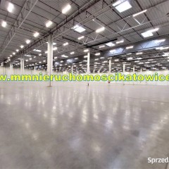 Powierzchnie magazynowe do wynajęcia 200 - 10.000 m2 Będzin - 0% PROWIZJI!