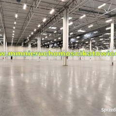 Powierzchnie magazynowe do wynajęcia 200 - 10.000 m2 Będzin - 0% PROWIZJI!