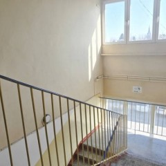Hala typu Berlin ~1274 m² Elbląg przy S7