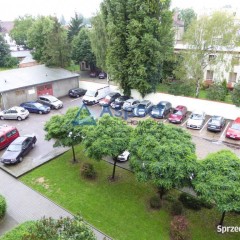 Wynajem-mieszkanie typu studio, Centrum