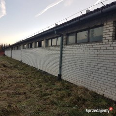 Wynajmę halę o powierzchni 800 m2 Bóbrka