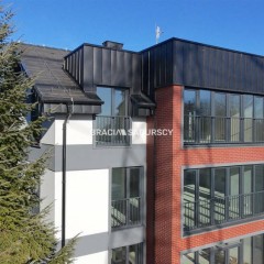 Lokal Kraków 310m2