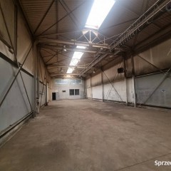 Lokal Ruda Śląska 560m2