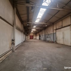 Lokal Ruda Śląska 560m2