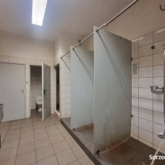 Lokal Ruda Śląska 560m2