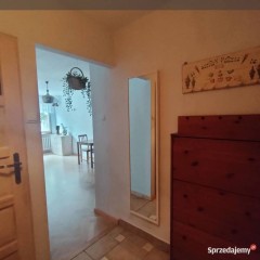 2pok, 35met, Okolice Pereca ROZKŁAD/PIWNICA (Wrocław)