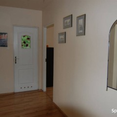 Lokal Kielce 49m2