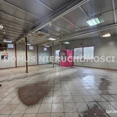 Lokal Gałków Mały 206m2