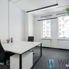 Lokal Warszawa Żelazna 424m2