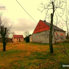 Oferta wynajmu gruntu Zbrosławice 2000m2