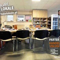 Lokal Białystok 170m2