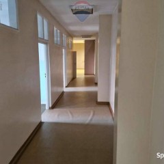 Lokal usługowy w ścisłym centrum miasta
