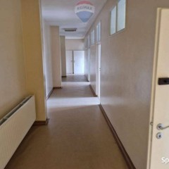 Lokal usługowy w ścisłym centrum miasta