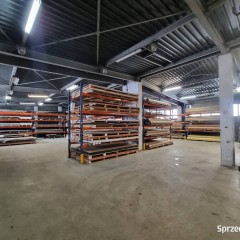 Lokal Katowice 500m2