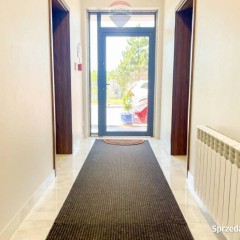 Lokal biurowy 20m2, do wynajęcia od zaraz