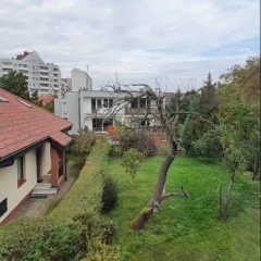 3pok, 67met, Okolice Serbskiej PIWNICA/OGRÓD (Wrocław)