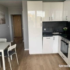 2pok, 32met, Okolice Rogowskiej BALKON/WINDA (Wrocław)