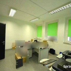 Lokal Opole 39.8m