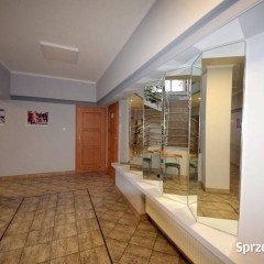 Lokal Opole 39.8m