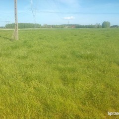 Ziemia, spokòj; doskonała na uprawy, ogród, siedlisko..