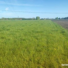 Ziemia, spokòj; doskonała na uprawy, ogród, siedlisko..