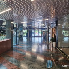 Lokal Warszawa Aleja Wincentego Witosa 160m2