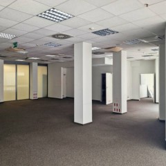 Lokal Warszawa Aleja Wincentego Witosa 160m2