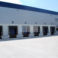 Nowoczesna hala, 2900m2, różne moduły-Bez Prowizji