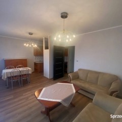 Do wynajęcia mieszkanie 70 m2 w Katowicach