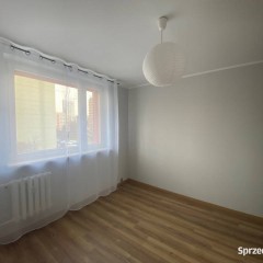Do wynajęcia mieszkanie 70 m2 w Katowicach