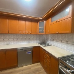 Do wynajęcia mieszkanie 70 m2 w Katowicach