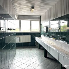 Hala ogrzewana do wynajęcia Katowice suwnica 2 przeciwległe bramy plac biu…