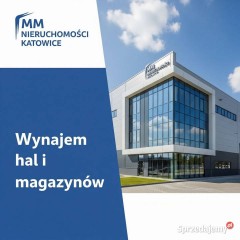 Magazyny do wynajęcia po 700 m2 Siemianowice Śląskie - 0% PROWIZJI!