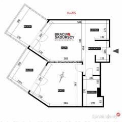 Mieszkanie na wynajem 43.02m2 2 pok Kraków Kołowa