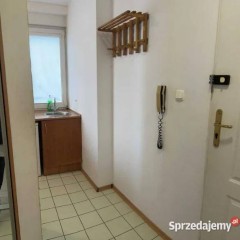 1pok, 30met, okolice Placu Grunwaldzkiego BALKON (Wrocław)