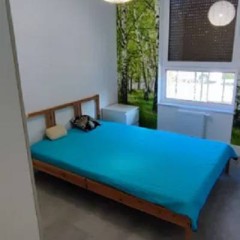 2pok, 35met, Okolice Maślickiej LUX/OGRÓD/2011 (Wrocław)