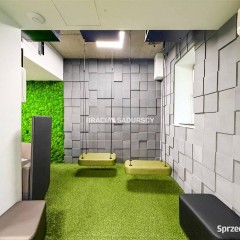 Lokal Kraków 170m2