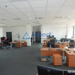 Lokal wynajmę Szczecin 73m2